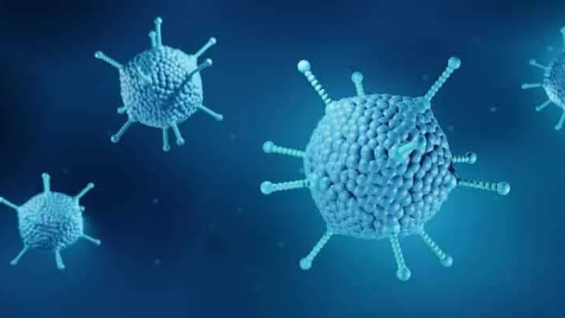 Adenovirüs Nedir? Belirtileri, Nedenleri, Bulaş Yolları ve Tedavisi