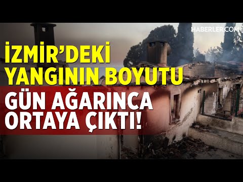 İzmir&#39;deki Yangının Boyutu Gün Ağarınca Ortaya Çıktı!